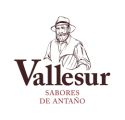vallesur-logo